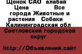 Щенок САО (алабай) › Цена ­ 10 000 - Все города Животные и растения » Собаки   . Калининградская обл.,Светловский городской округ 